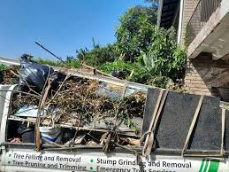 Best Same-Day Junk Removal Services  in Lehighton, PA